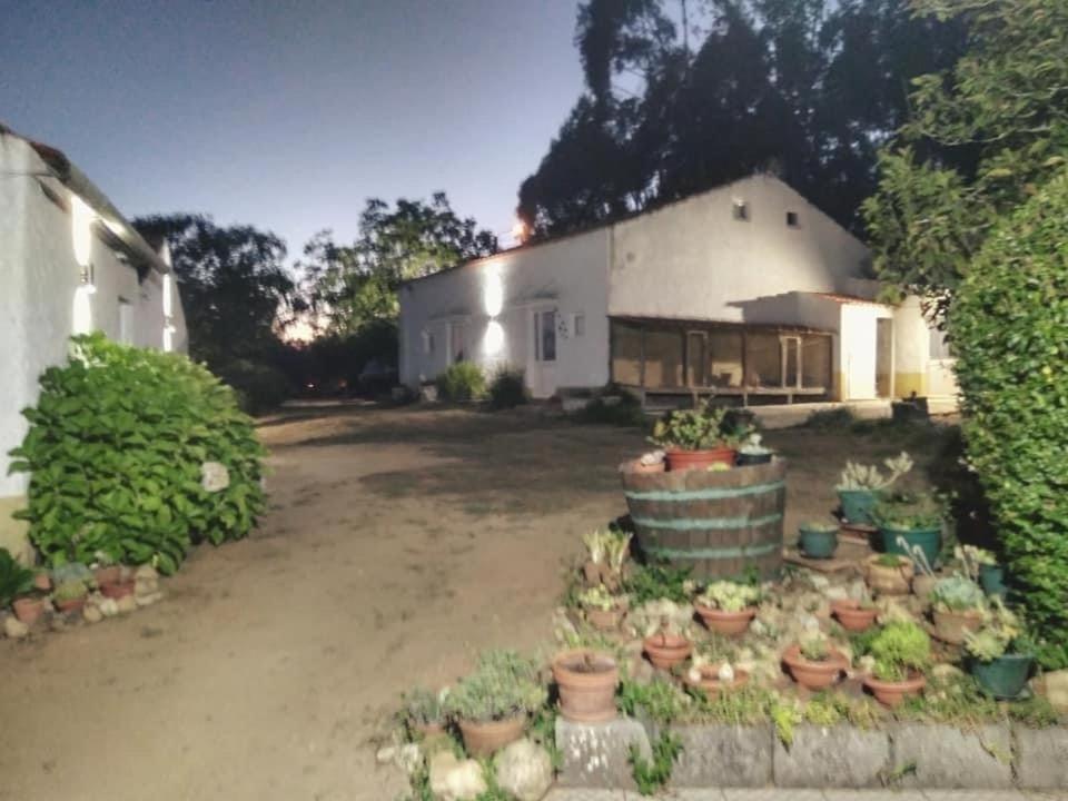 Quinta Da Mesa Villa Macinhata do Vouga Buitenkant foto