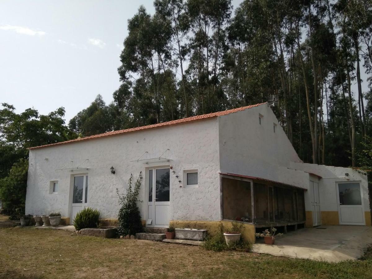 Quinta Da Mesa Villa Macinhata do Vouga Buitenkant foto